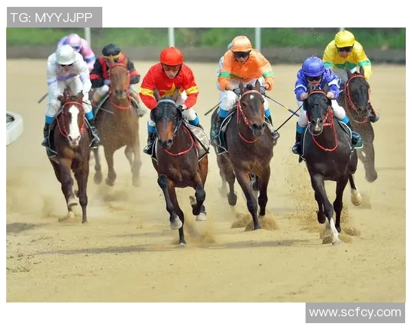 深足与武汉队对决赛后分析与经验总结探讨