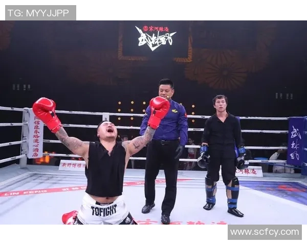 搏击传奇对决：鲍勃萨普与崔洪万的巅峰对抗之战