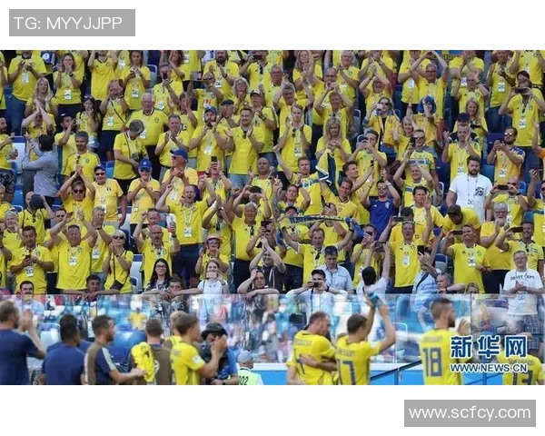 瑞典对阵韩国足球赛前瞻及澳门投注推荐分析