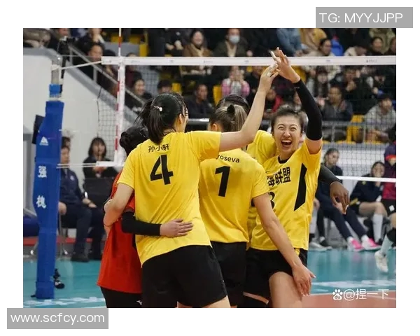 辽宁女排对阵天津女排精彩比赛视频回顾与分析，尽享排球魅力与激情时刻