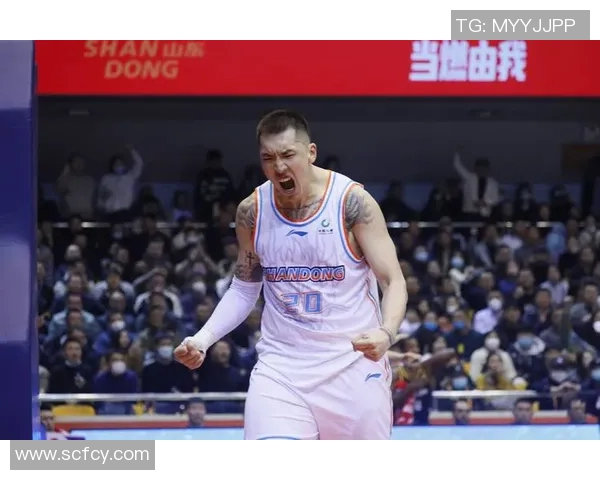 陶汉林：从篮球新星到职业生涯巅峰的励志故事与成长之路